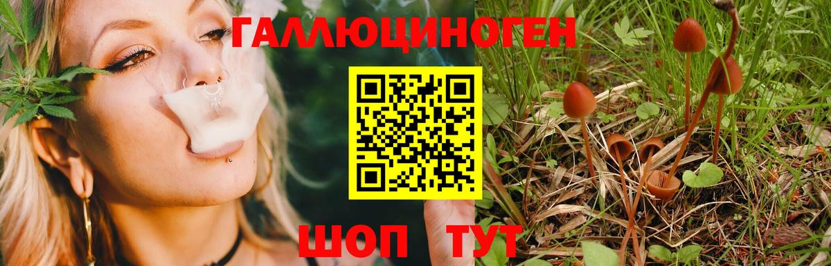 Галлюциногенные грибы прущие грибы Белебей